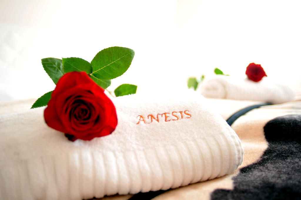 Penzion Anesis - Studia ตูร์เชียนสเก เจปลิตเซ ภายนอก รูปภาพ